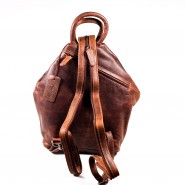 Backpack 2v1 bag genuine leather Green wood Andrea vp033 